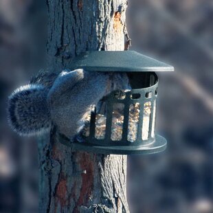 Rustic Squirrel Feeder | Wayfair